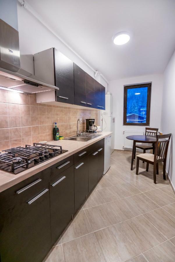 Ripsime Colina Marei Apartment Sinaia Exterior photo